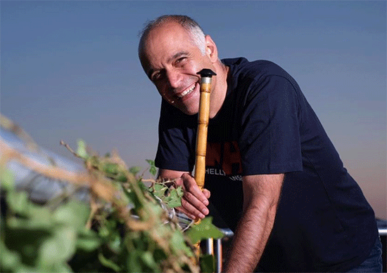 Ali Tüfekçi