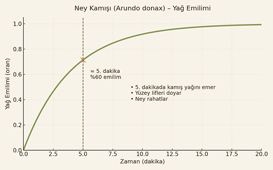 Ney kamışı yağ emilimi grafiği
